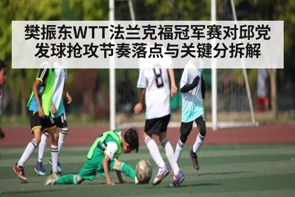 樊振东WTT法兰克福冠军赛对邱党发球抢攻节奏落点与关键分拆解